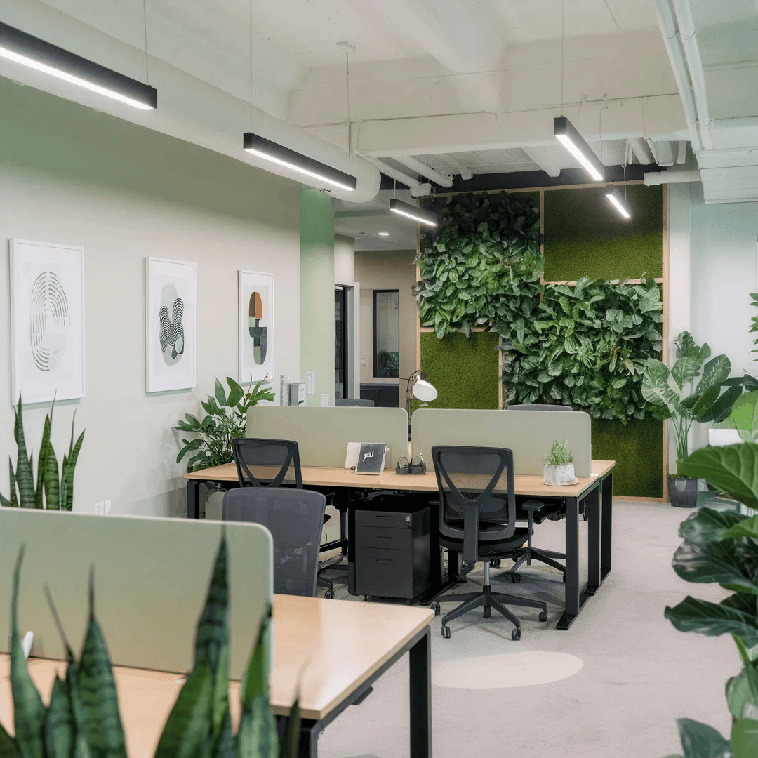 Biophilic Coworking Space